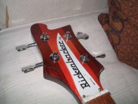 21frettrc1.jpg