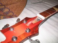 21frettrc2.jpg