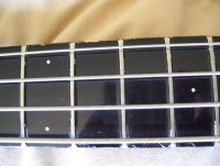 Fretboard Micro dots and a few dings