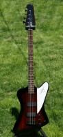 basses 003 (591 x 1280).jpg