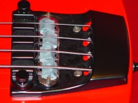 pic-10.jpg