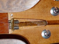head-1024.jpg