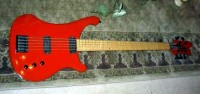 RedBass21.JPG