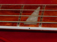 pic-9.jpg