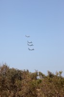 IMG_6400.jpg