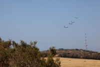IMG_6405.jpg