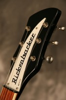 79 620 truss rod cover.jpg