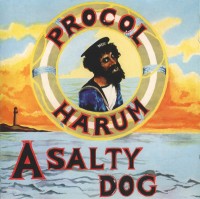 salty_dog.jpg
