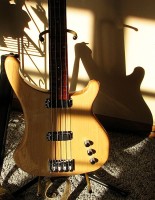 Shadow Larado II.jpg