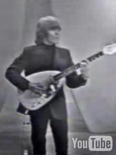 voxguitar.jpg