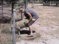 sheep-shagger.jpg