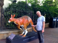 A bloody Kangaroo?!?!?!?