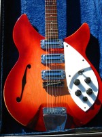 Rickenbacker 345S Front Body resized.jpg