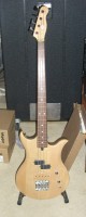 OldVantageBass01small.jpg