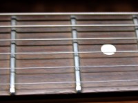 Frets.JPG