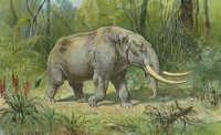 nycmastadon.jpg