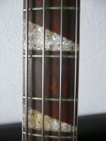 P1050009-web.jpg