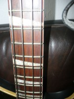P1050012-web.jpg
