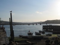 The estuary