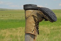 Jun09-07Shamut03.jpg