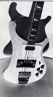 Rickenfaker 4 copy.jpg