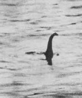 nessie2.jpg