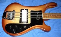 body minus "secret" parts...