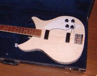 2030 bass 002.jpg
