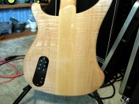 BackBody.JPG