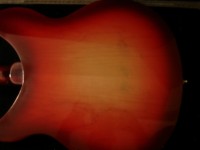 MF%20Rickenbacker%20330%20005.JPG