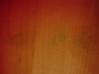 MF%20Rickenbacker%20330%20004.JPG