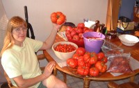 tomato 2.jpg