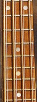 8 string pic.jpg