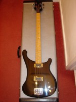 rickenbacker_4004l_wb_03.jpg