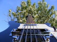 Out_Strings_003_sm.jpg