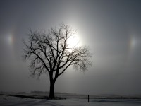 sundogs.jpg