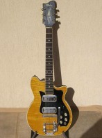 Maton Mastersound MS-500