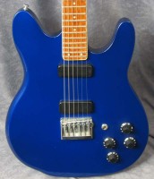 blue hamburg 230.jpg