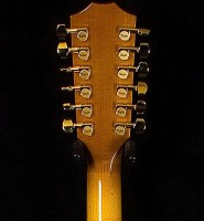 Taylor T-5/12 Hdstk