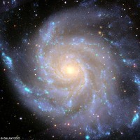 The amount of stars in the universe is absolutely mind-boggling