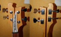 Head Collage.jpg