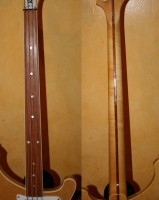 Neck Collage.jpg