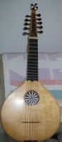 Full length view of the English guittar