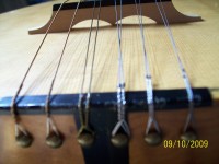 Loop end strings are attached to brass headed tacks driven into the tailblock