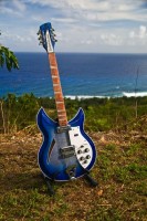 Blue Burst by the sea.jpg
