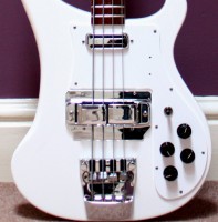 IMG_1224 closeup.jpg