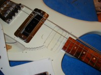 Color under pickguard same as on body