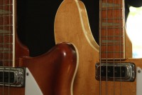IMG_7358.jpg