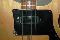 Grotty fake pickguard