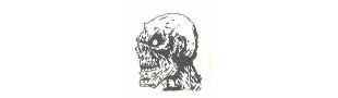 Skull Pick.jpg